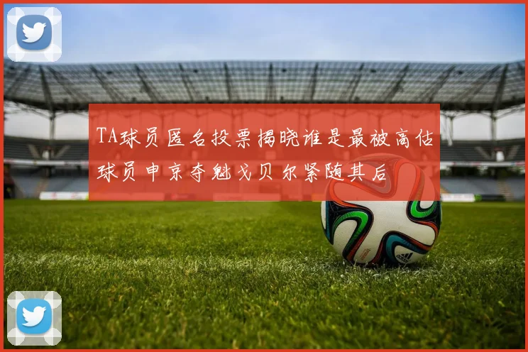 TA球员匿名投票揭晓谁是最被高估球员申京夺魁戈贝尔紧随其后